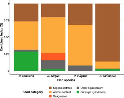 Herbivory on the Invasive Alga Caulerpa cylindracea: The Role of <mark class="highlighted">Omnivorous</mark> Fishes
